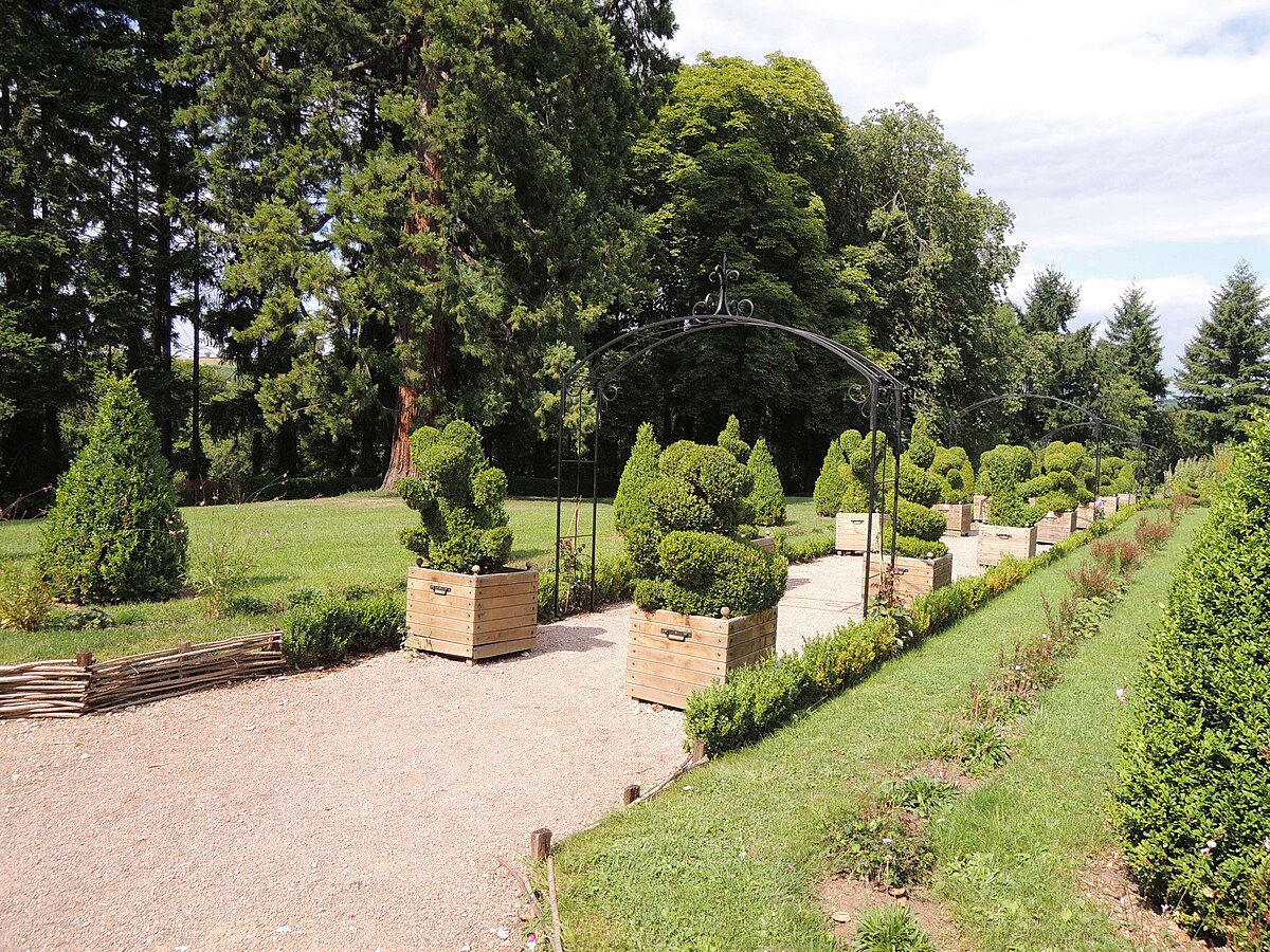 Château de Couches — allée de topiaires spirales en bacs