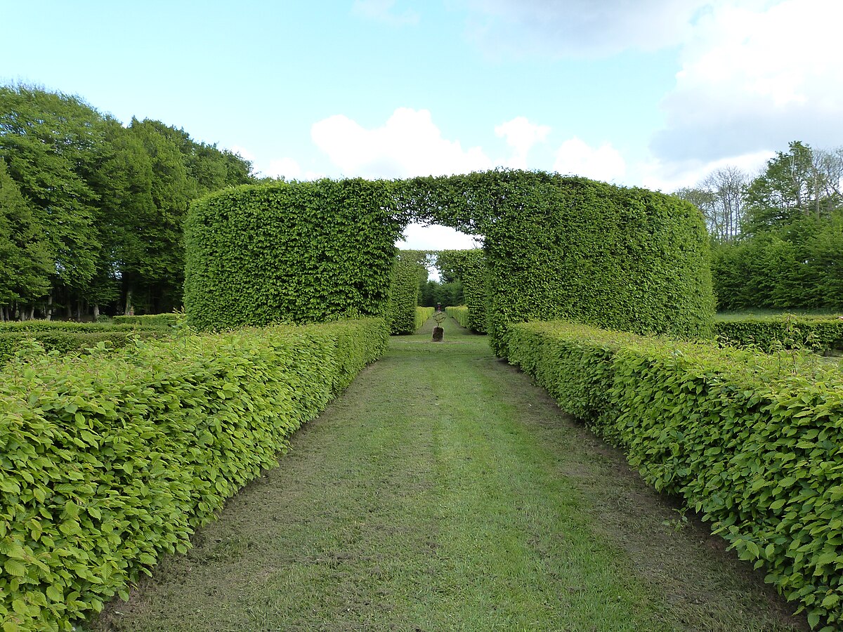 Château de Bogard — allée de haies taillées avec arche végétale